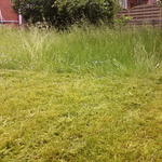 Gartenpflege Frank Vienna