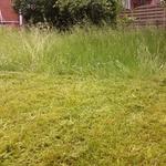 Gartenpflege Frank Vienna